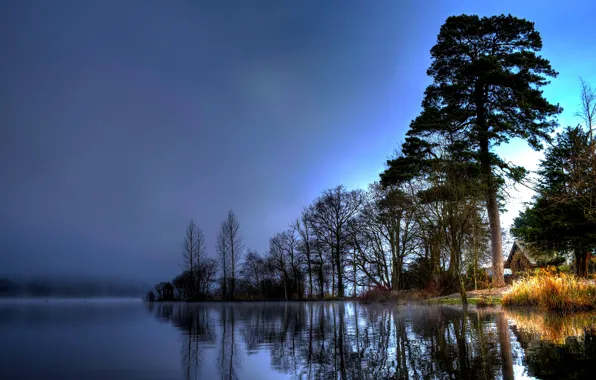 Trees, fog, river, home, morning