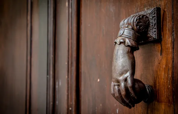 Picture macro, the door, handle