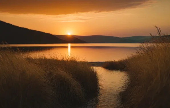 Grass, the sun, clouds, landscape, sunset, nature, lake, dawn