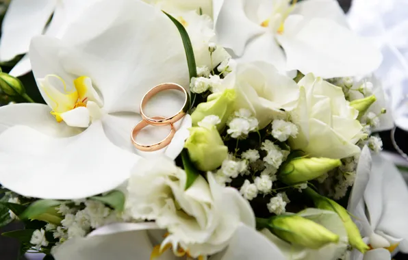Flowers, roses, ring, Orchid, wedding, White, Orchid, Ring