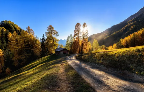 Road, autumn, mountains, Italy