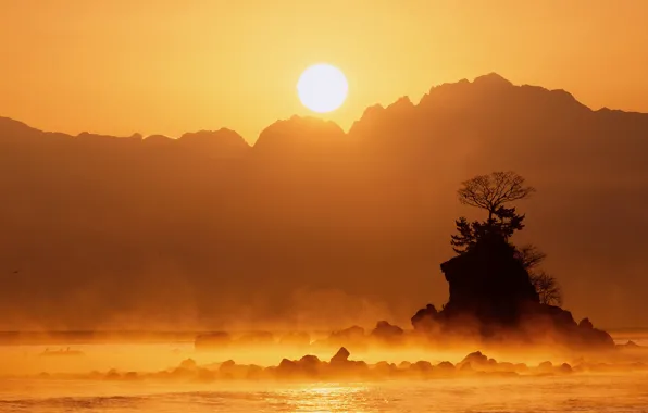 The sun, trees, mountains, fog, rock, stones, Japan, lake Yamanaka