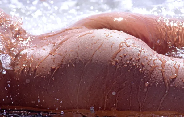 Ass, water, drops
