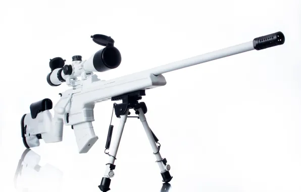 White, weapons, optics, rifle, sniper, Mosin