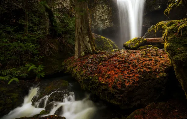 Waterfall, Washington, Spring flow, yakima county