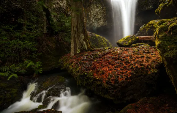 Picture waterfall, washington, Spring flow, yakima county