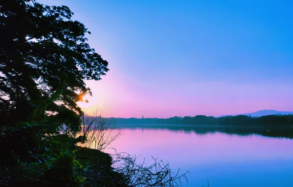 Sun, Water, Sunrise, Dawn, Morning, Lake, Trees, Reflection