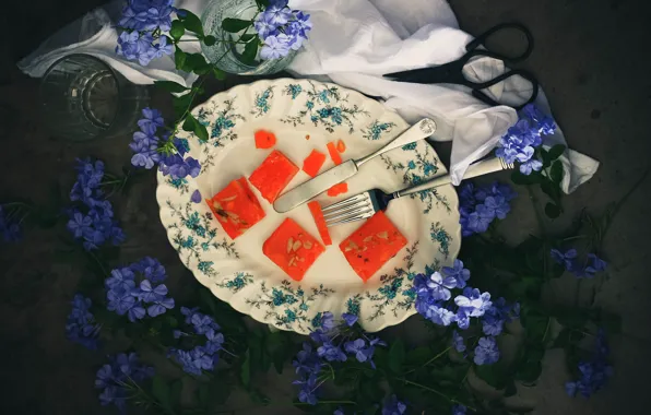 Picture flowers, plate, dessert, scissors, piece