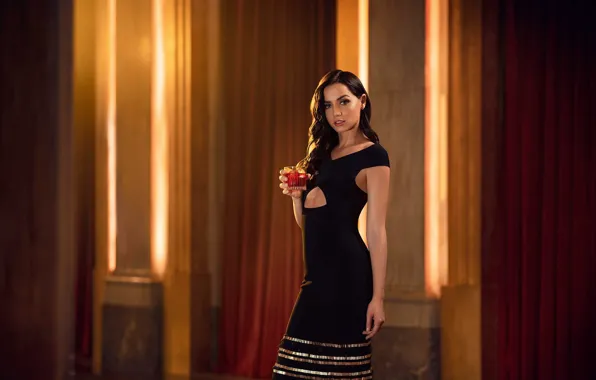 Picture look, girl, glass, pose, figure, Ana de Armas