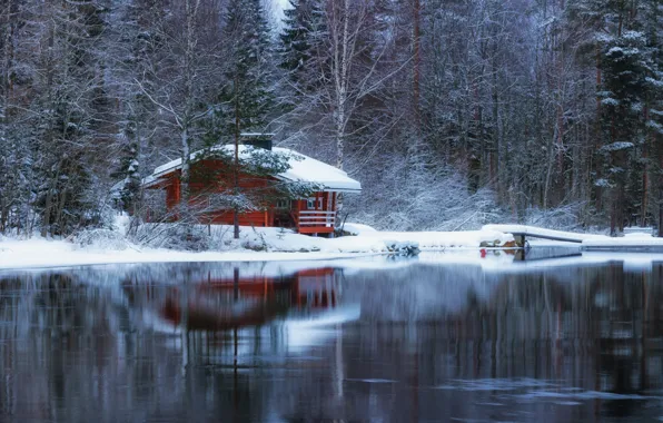Picture winter, forest, lake, reflection, home, Anssi Carroll