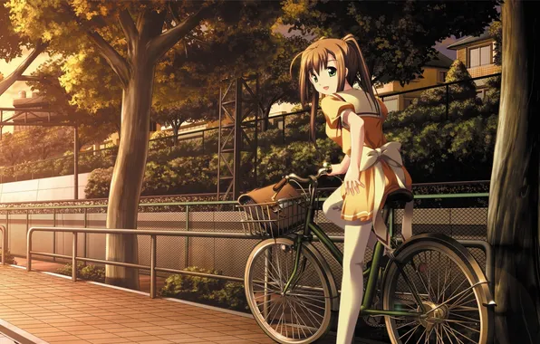 Picture trees, bike, anime, girl, the sidewalk