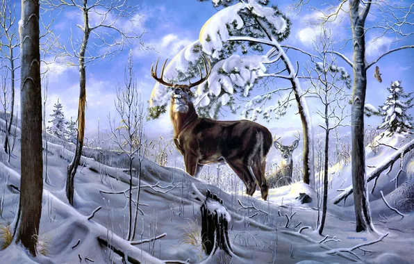 Winter, forest, snow, trees, deer, art, Charles H. Denault