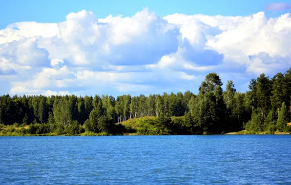 Forest, summer, clouds, trees, lake, shore