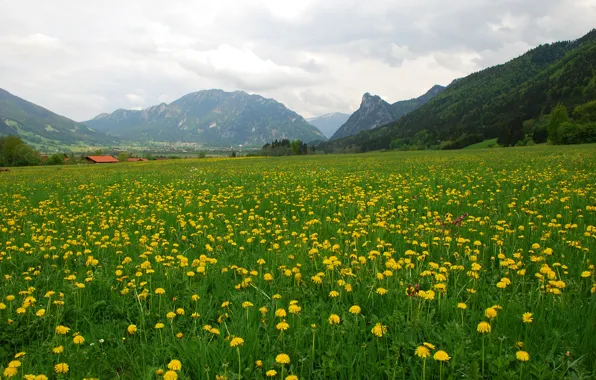 The sky, flowers, mountains, nature, house, dandelion, spring, meadow
