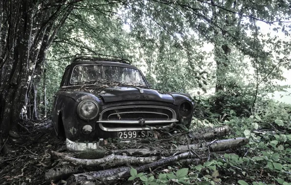 Picture machine, forest, Peugeot 403