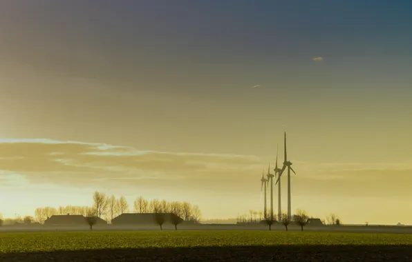 Fog, the evening, windmills