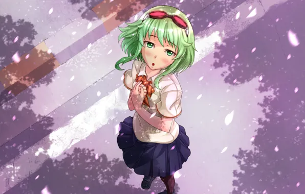 Picture road, surprise, shadow, spring, petals, glasses, vocaloid, green hair
