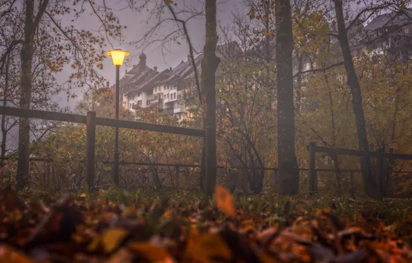 Autumn, trees, fog, building, home, Switzerland, lantern, Switzerland