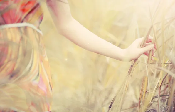 Picture girl, nature, background, Wallpaper, mood, plant, dress