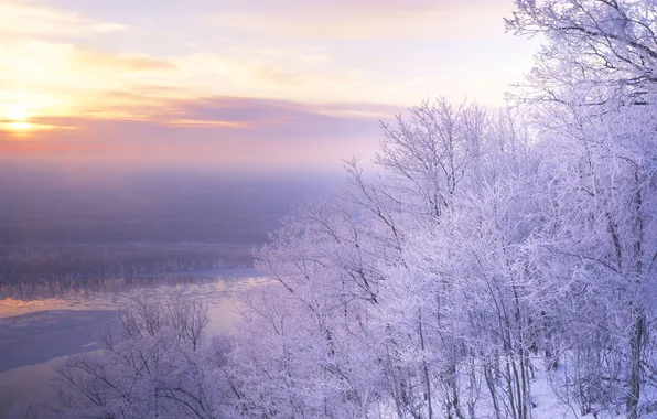 Frost, snow, trees, landscape, sunset, nature, sirenevie the sky