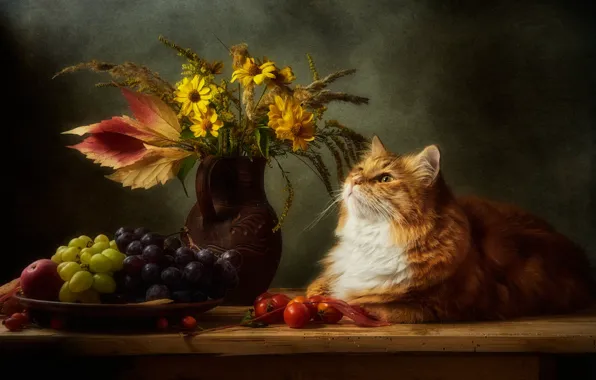 Autumn, cat, cat, look, flowers, pose, the dark background, table