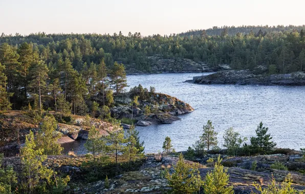 Summer, landscape, lake, August, Russia, Karelia, Ladoga, lake Ladoga