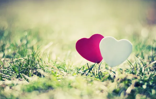 Picture greens, grass, the sun, love, landscape, nature, pink, heart