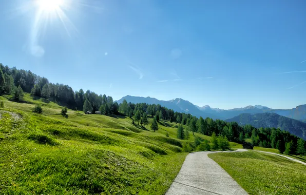 Picture trees, landscape, mountains, nature, hill