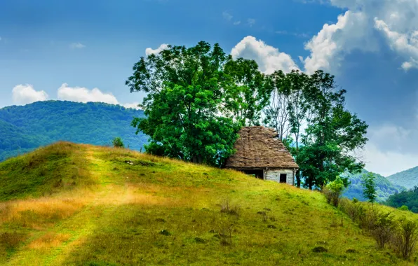 Forest, trees, mountains, hills, home, trail, abandoned, Romania