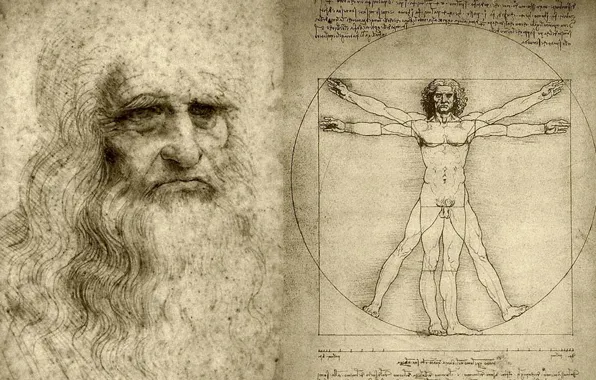 Picture figure, artist, Leonardo da Vinci, scientist, Vitruvian man