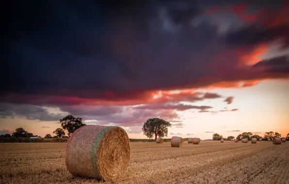 Picture field, sunset, hay