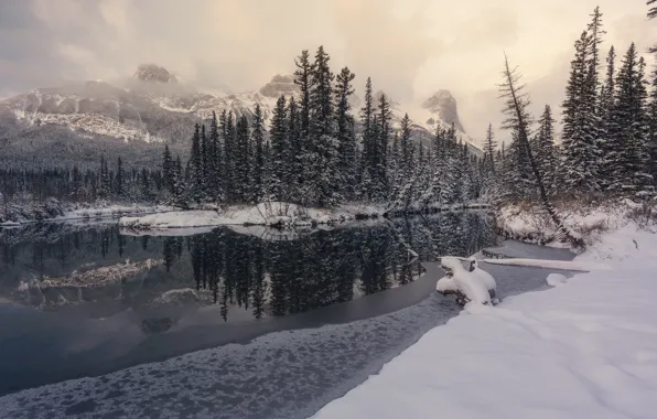 Winter, forest, clouds, snow, mountains, lake, reflection, shore