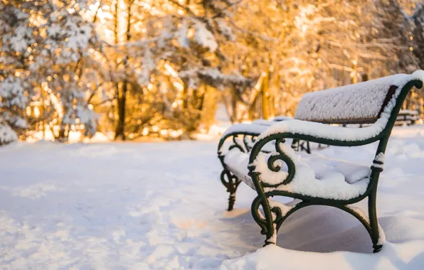 Snow, bench, snow, bench, winter park, Winter Park