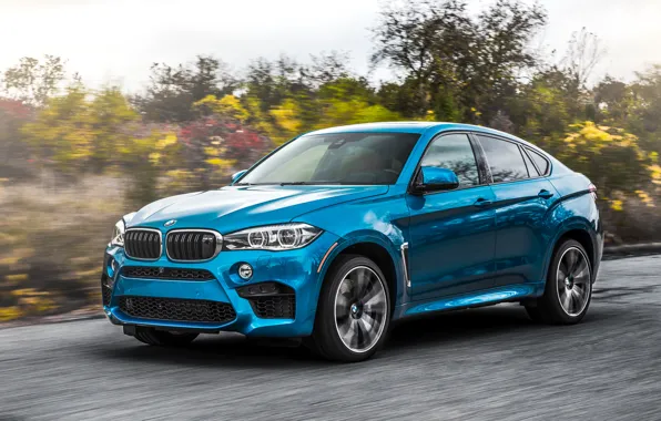 Picture BMW, BMW, crossover, X6 M, F86