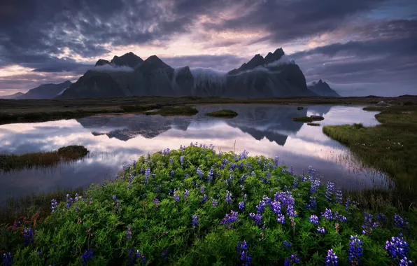 Summer, the sky, clouds, flowers, mountains, clouds, lake, reflection