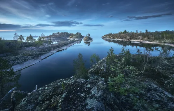 Trees, landscape, nature, lake, stones, Lake Ladoga, Ladoga, white night