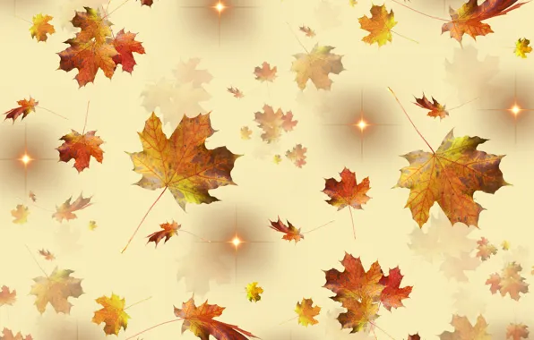 Golden, autumn, leaves, stars, season, fall