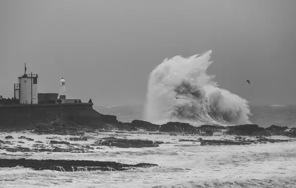 Picture sea, wave, stone, lighthouse, the troubled sea
