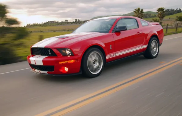 Shelby, GT500, Cobra