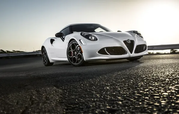 Picture Alfa Romeo, 2014, Spider Concept