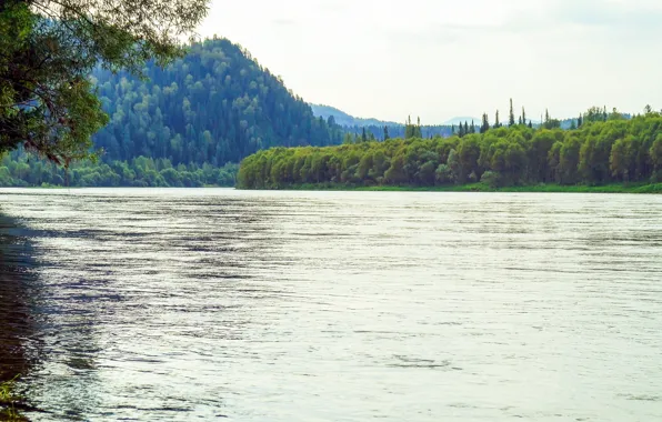 Landscape, nature, river, mountain, Altay, Biya