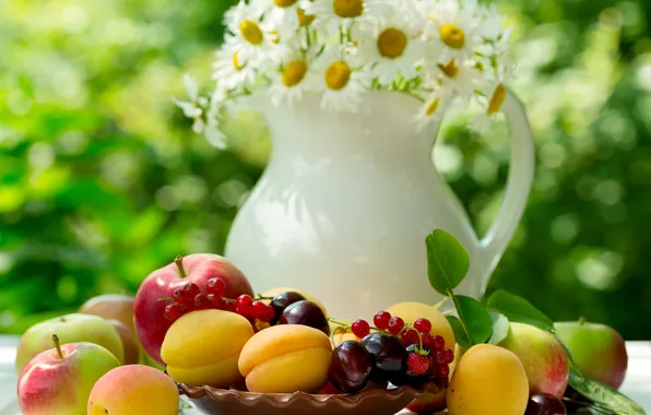 Picture apples, chamomile, summer, fruit, flowers, apricots, fruits
