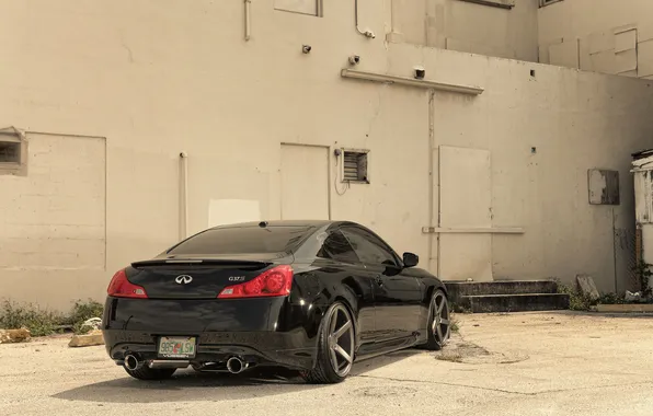 Picture black, Infiniti, black, infiniti, the rear part, G37, G-Series