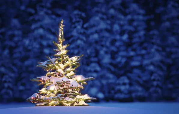 Lights, tree, New Year, Christmas, Christmas, night, winter, snow