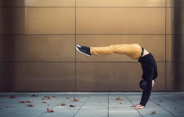 Athlete, gymnast, Dimitri Petrowski