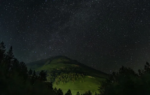 Stars, night, mountain, Elbrus, Kudashkina Ksenia