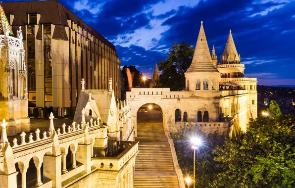Picture the city, castle, building, Budapest