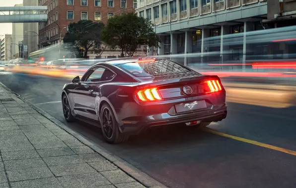 Picture lights, Mustang, Ford, rear view, Bullitt, 2019