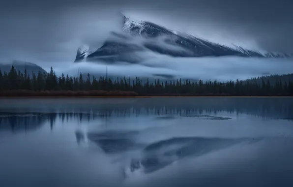 Picture forest, fog, lake, river, mountain