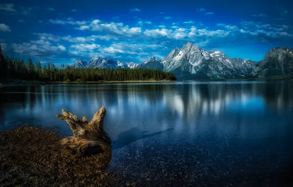 Picture forest, mountains, lake, Wyoming, snag, Wyoming, Grand Teton National Park, Rocky mountains